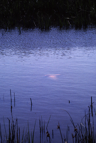 submerged_cone.jpg